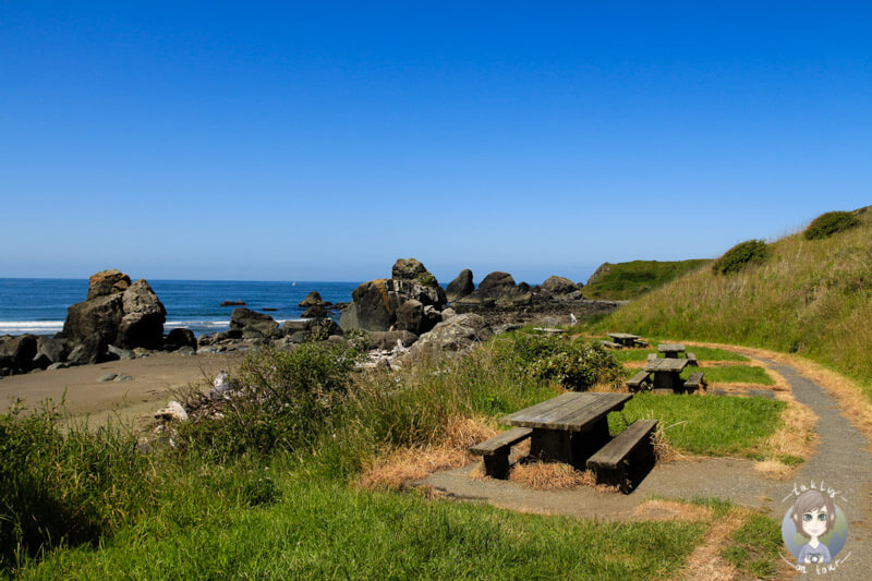 Beach am Samuel Boardman Scenic Corridor