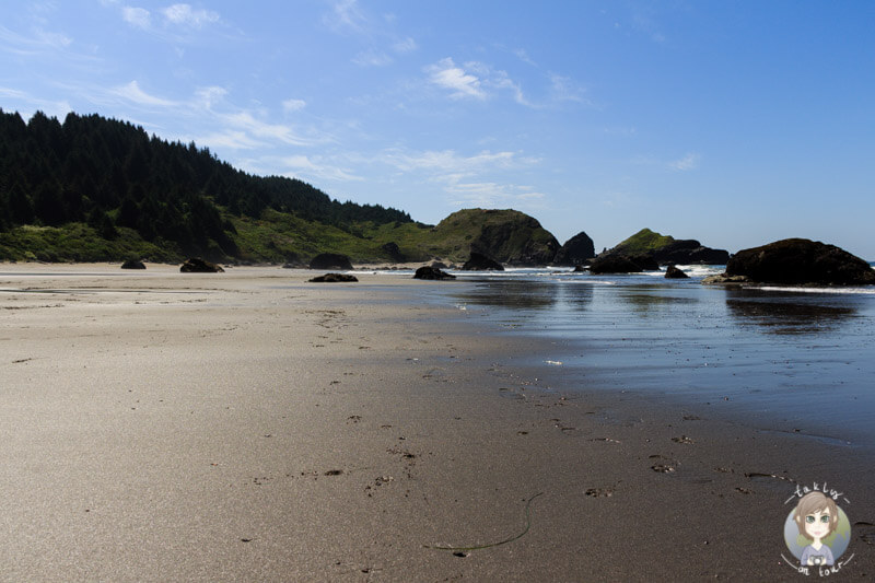 Beach am Samuel Boardman Scenic Corridor, Oregon