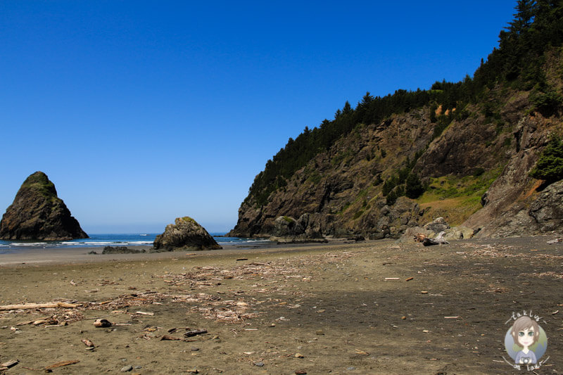 Menschenleerer Strand in Oregon