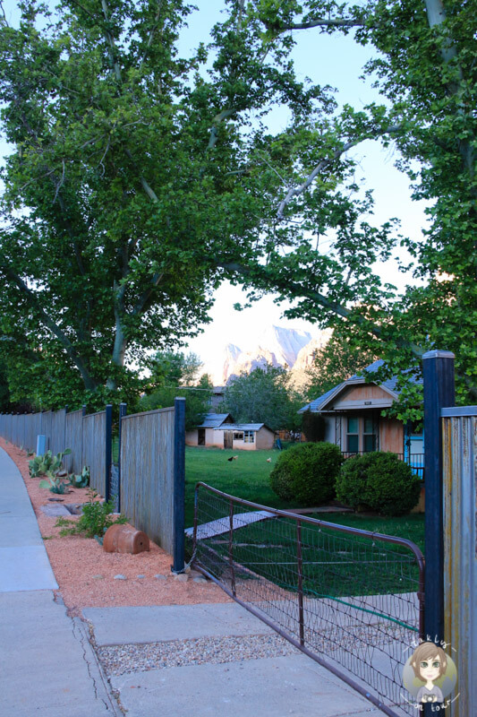 Springdale 