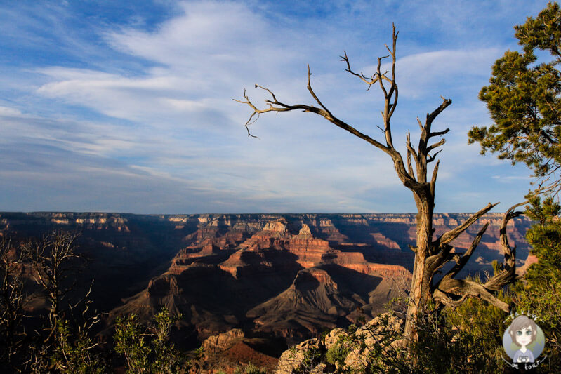 Mather Point am Grand Canyon