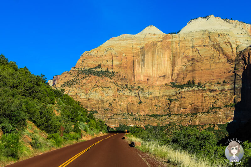 Zion National Park