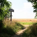 Der Werwolf Wanderweg in Bedburg Kaster
