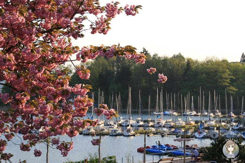 Am Abend am Sorpesee