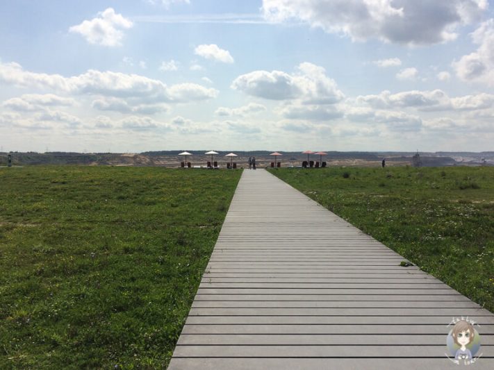 Gang zur Aussichtsplattform am Forum Terra Nova