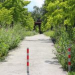 Spazierweg auf dem Gelände der Zeche Zollverein Essen