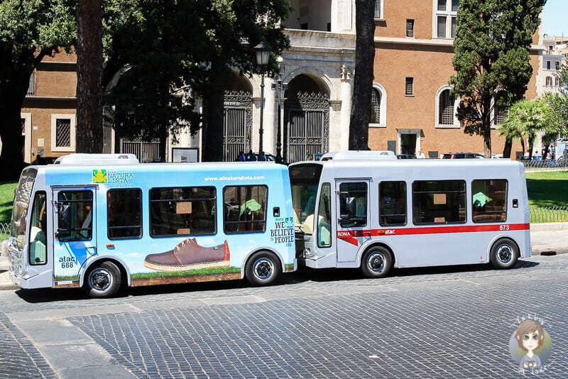 Zwei Minibusse sind super um Roms Sehenswürdigkeiten und die Stadt zu erkunden