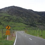 Auf einer Reise mit dem Camper durch Neuseeland muss man zahlreiche Kurven bezwingen