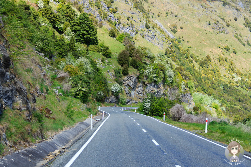 Fahrt durch den Abel Tasman National Park