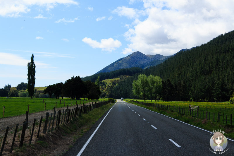 Der Abel Tasman nationalpark in Neuseeland