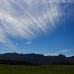 Natur im Abel Tasman Nationalpark