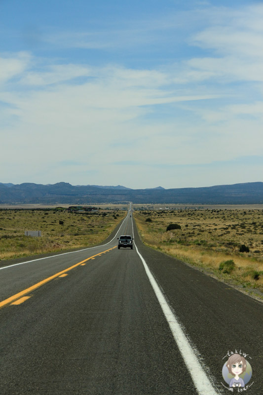 Anschließend ging unsere Fahrt über ein Stück der Route66.