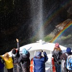 Tolle Tour auf dem Milford Sound in Neuseeland