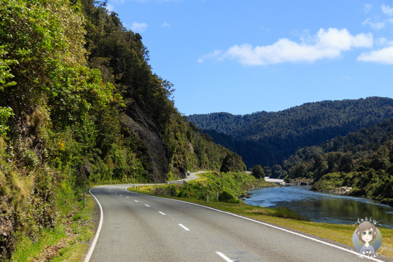 Straße entlang des Buller River, West Coast