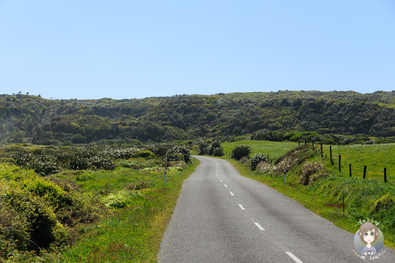 Fahrt zum Cape Foulwind
