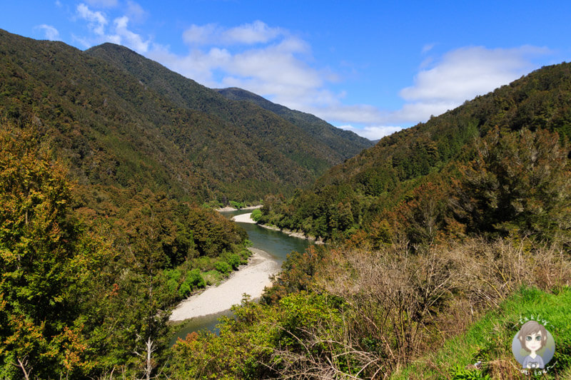 Schlucht des Buller Gorge