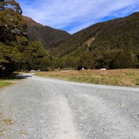 Zufahrt zum Cascade Creek DOC im Fiordland Nationalpark