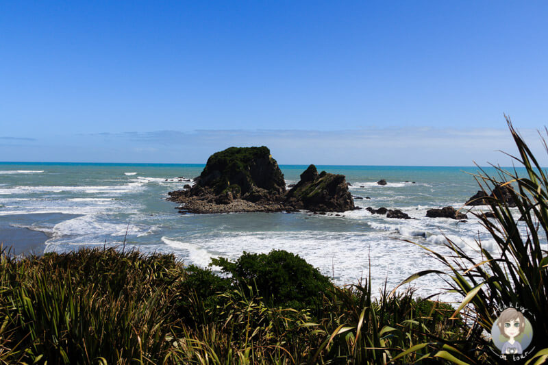 Cape Foulwind, West Coast, New Zealand