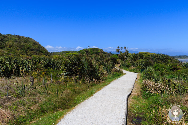 Wanderweg am Cape Foulwind
