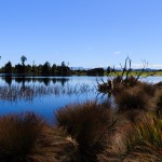 ein Blick auf die Cashmere Bay in Te Kinga, Neuseeland