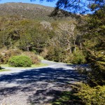 kostenloser Campingplatz in Neuseeland, der Deer Valley DOC