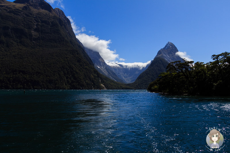 Mit dem Boot über den Milford Sound