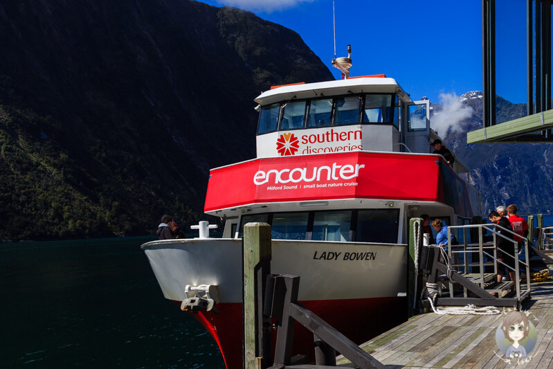 Schiff auf dem Milford Sound