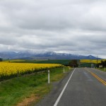 Fahrt nach Fairlie