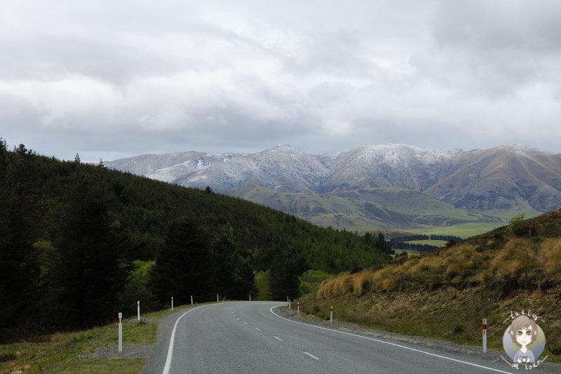schöne Bergwelt auf der Fahrt Richtung Fairlie