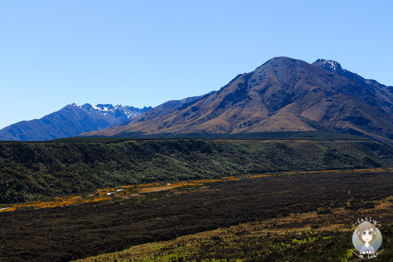 tolle Aussicht auf ein Valley in Neuseeland