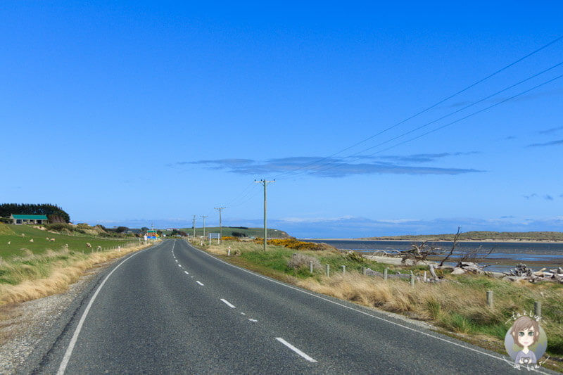 Fahrt Richtung Catlins, NZ