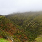 tolle Aussicht auf der West Coast Road in Canterbury, Neuseeland