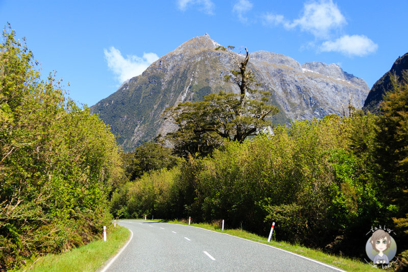 Fahrt zum Chasm auf der Milford Road
