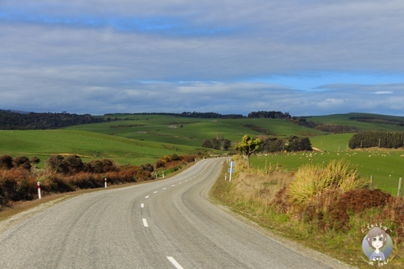 Landschaft pur in der Region Catlins, Neuseeland