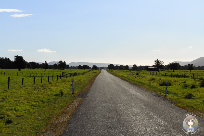 Cook Flat Road, Fox Glacier