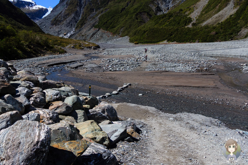 Wanderung am Fox Glacier, Neuseeland