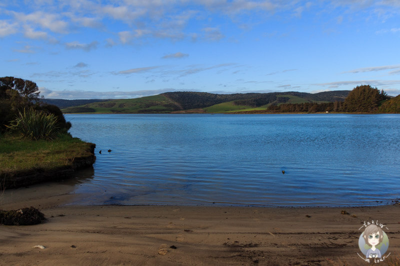 Sandstrand am Weir Beach, toller Platz zum Freedom Camping in Neuseeland