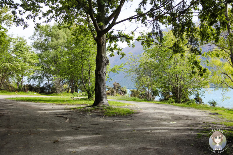 schöne Stellplätze am Lake Wakatipu
