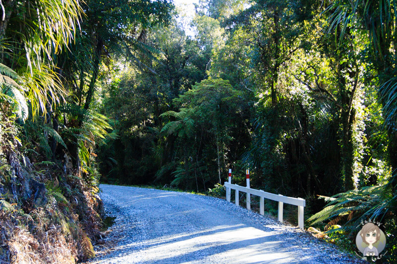 Gillespies Beach Road in Fox Glacier