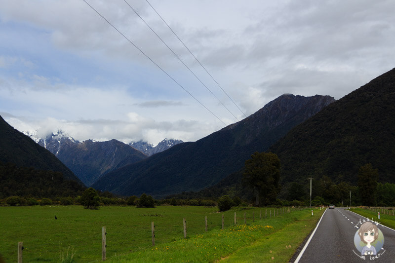 tolle Natur am Haast Pass