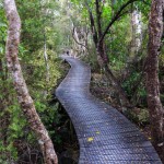 Walk zum Hawkes Lookout, Abel Tasman National Park
