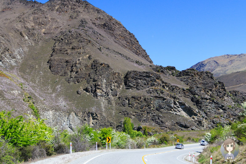 tolle Landschaft im Kawarau Gorge