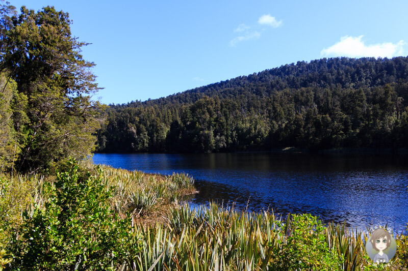 Blick auf den Lake Matheson