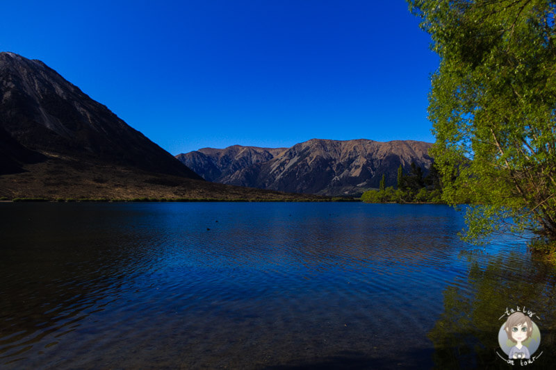Der Lake Pearson am Morgen