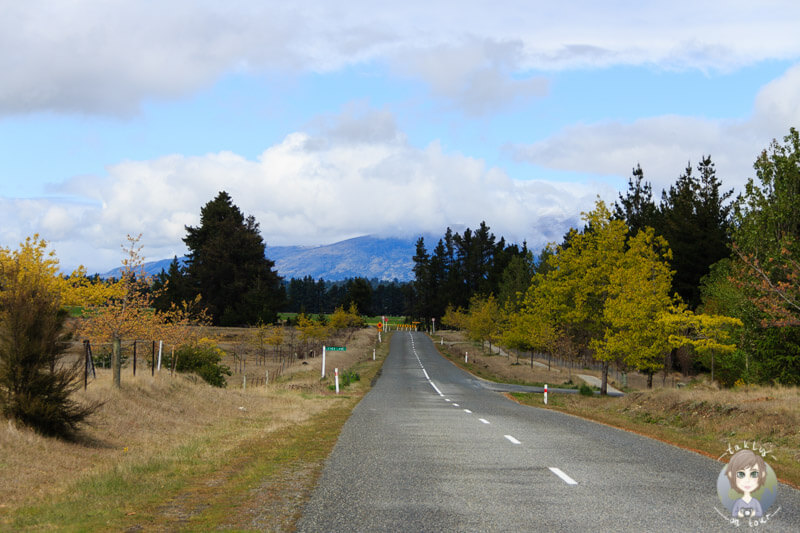 Landschaft um die Ortschaft Hawea