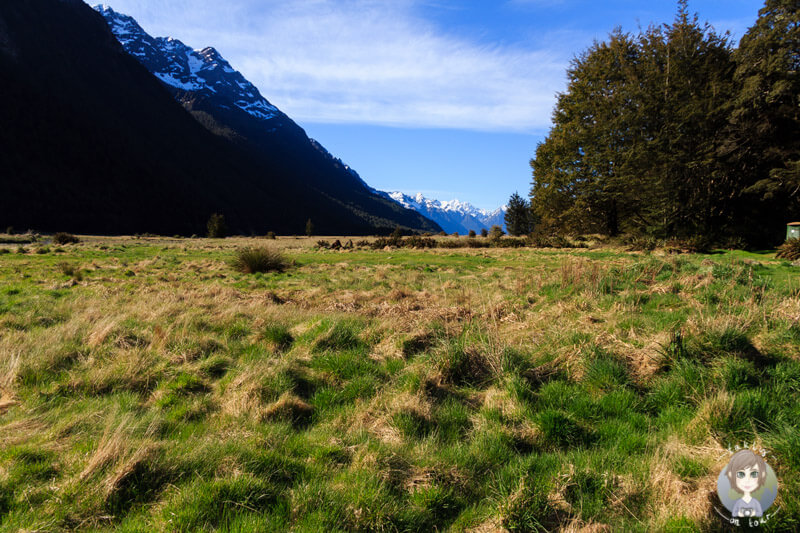 Mackay Creek DOC, Neuseeland