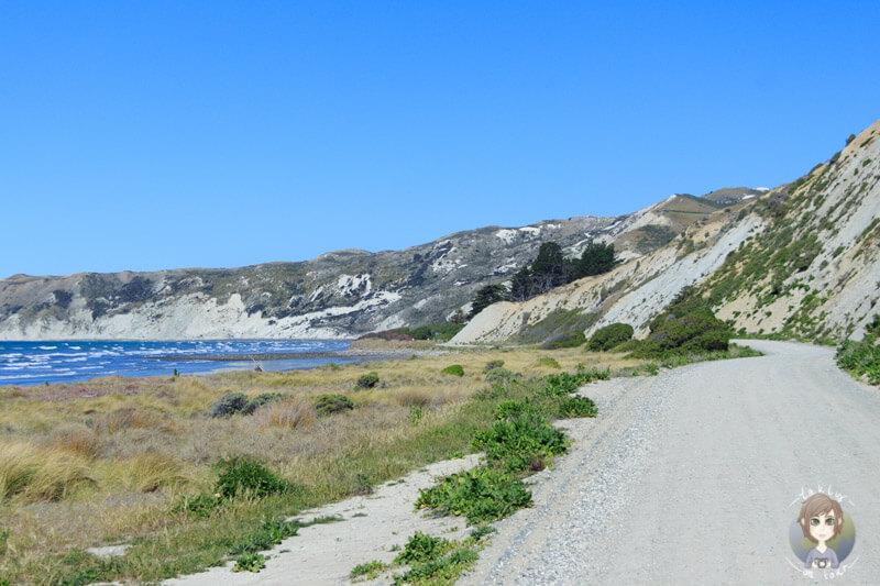 Einfahrt Marfells Beach Campingplatz