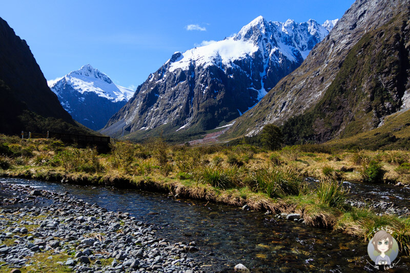 tolles Panorama auf der Milford Road, Neuseeland