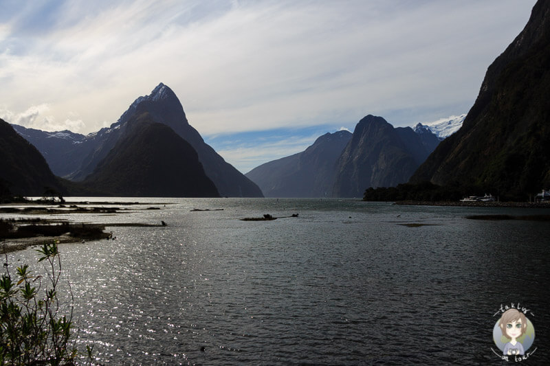 Blick über den Milford Sound vom Parkplatz