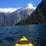 Der Mitre Peak in Sicht auf unserer Kajaktour